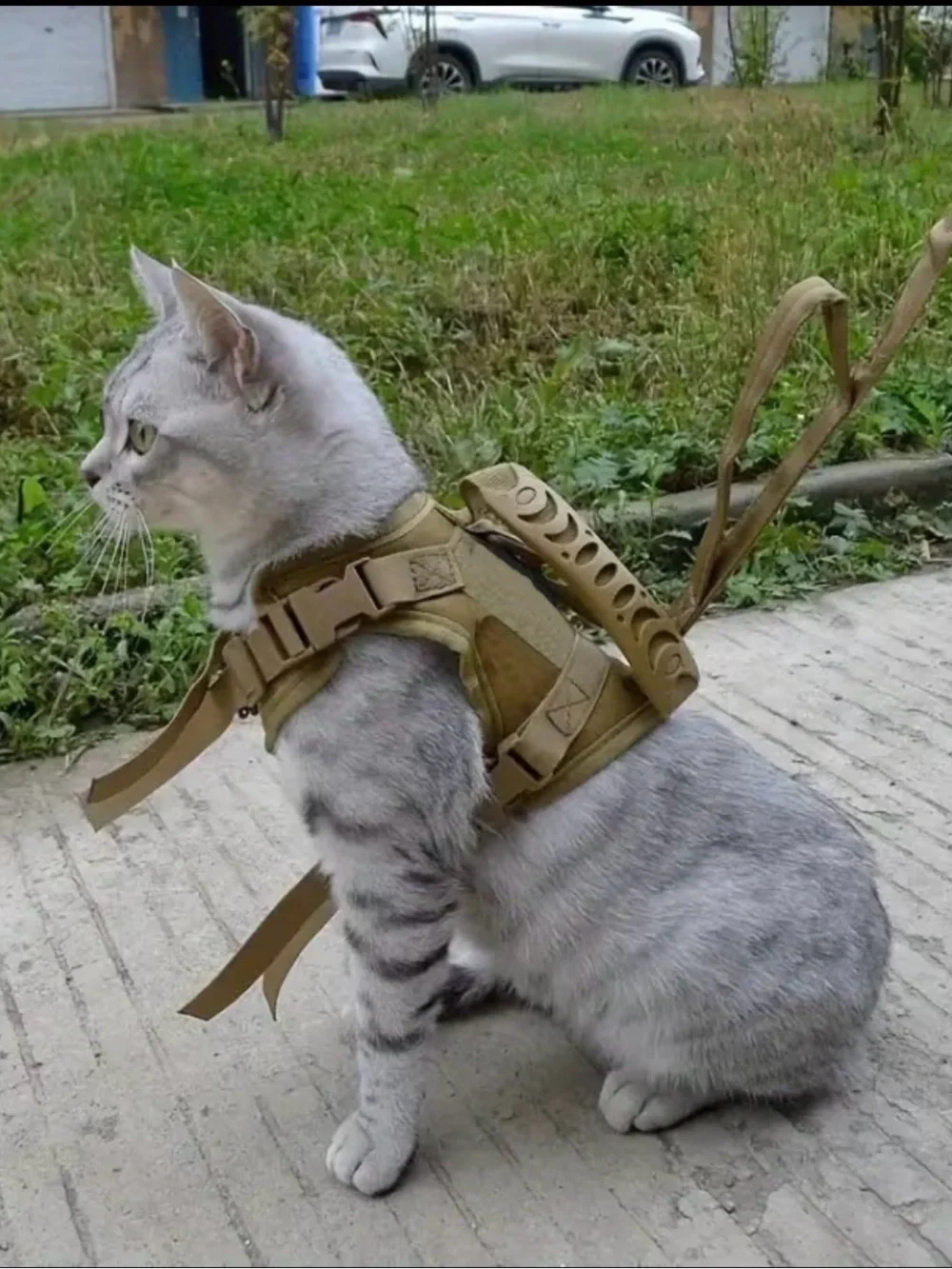 Tactical Camouflage Military Cat or Dog Pet Harness